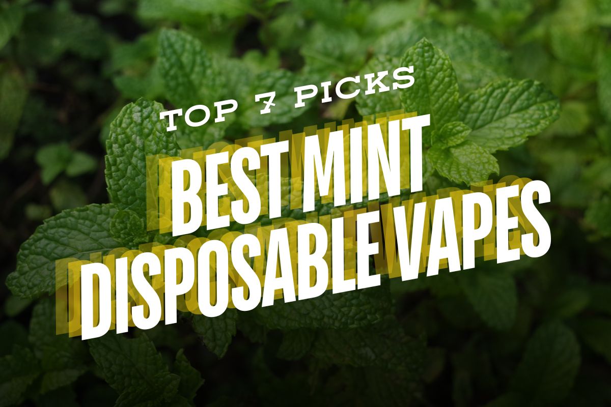 7 Best Mint Disposable Vape: Top Picks for 2026 VapeDeal.com 7 Best Mint Disposable Vape: Top Picks for 2026 VapeDeal.com
