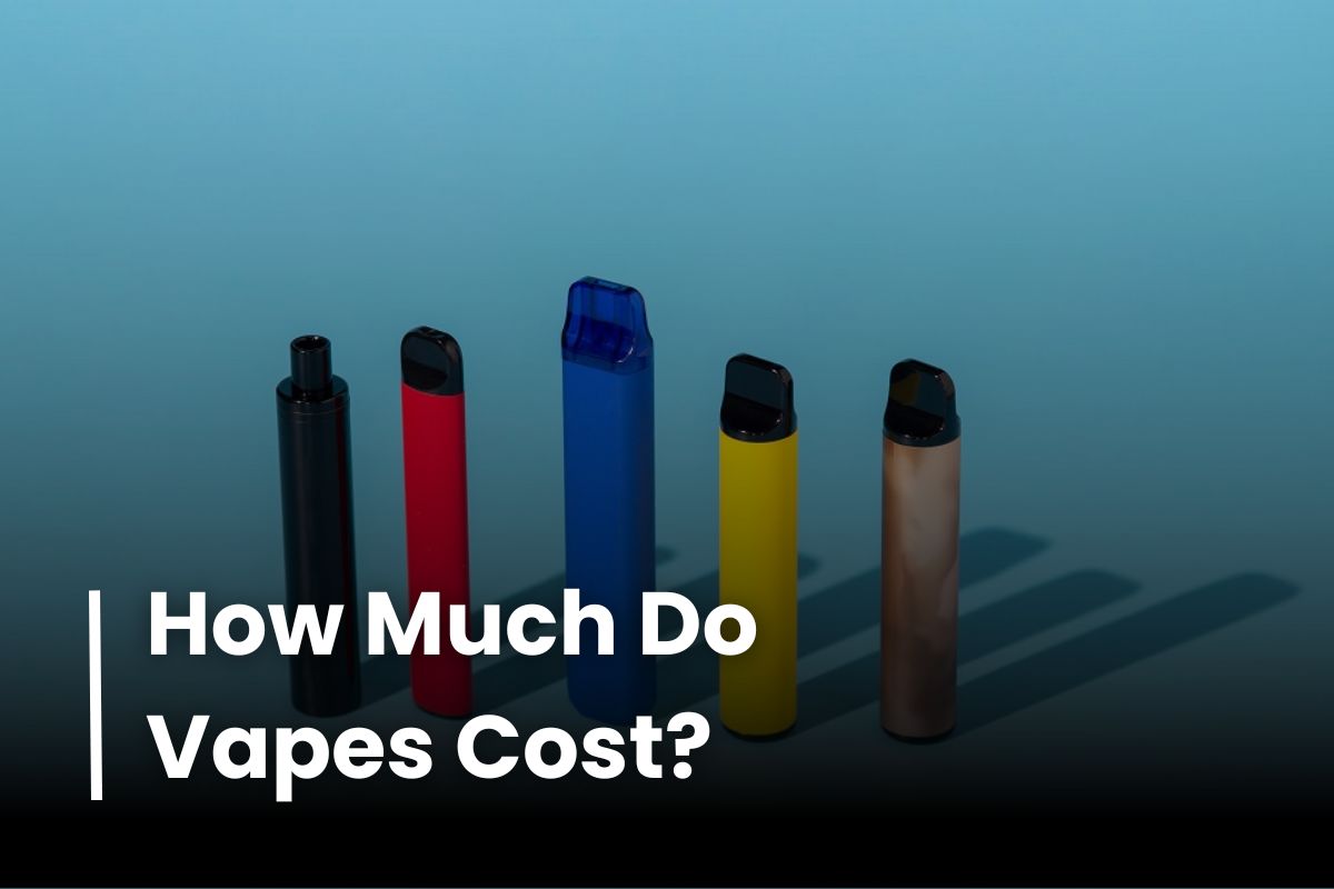 How Much Do Vapes Cost? Smart Tips to Save More VapeDeal.com How Much Do Vapes Cost? Smart Tips to Save More VapeDeal.com