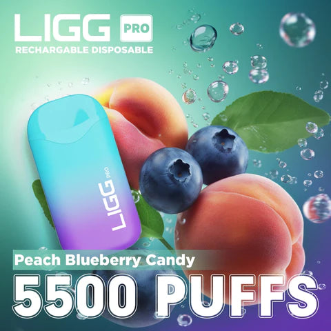 Ligg Pro 5500 Puffs Disposable Vape - Peach Blueberry Gumi