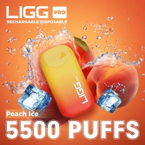 Ligg Pro 5500 Puffs Disposable Vape - Peach Ice