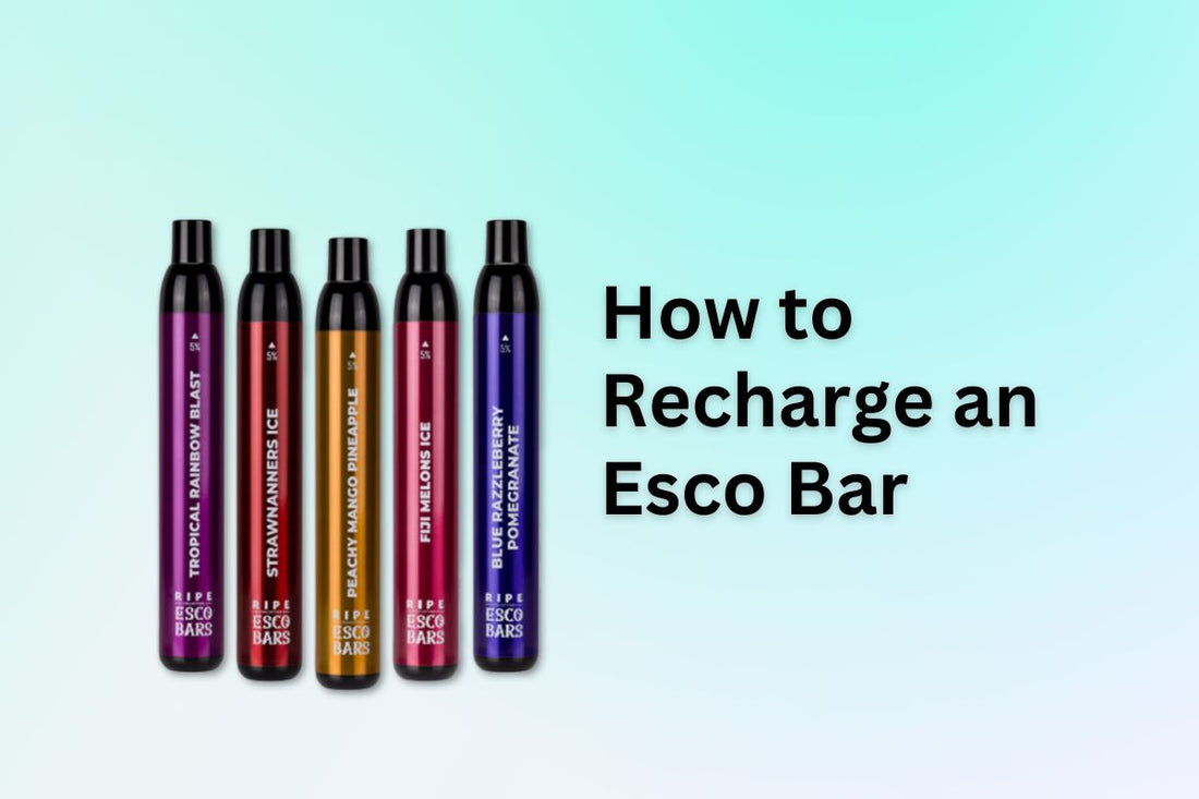How to Recharge an Esco Bar