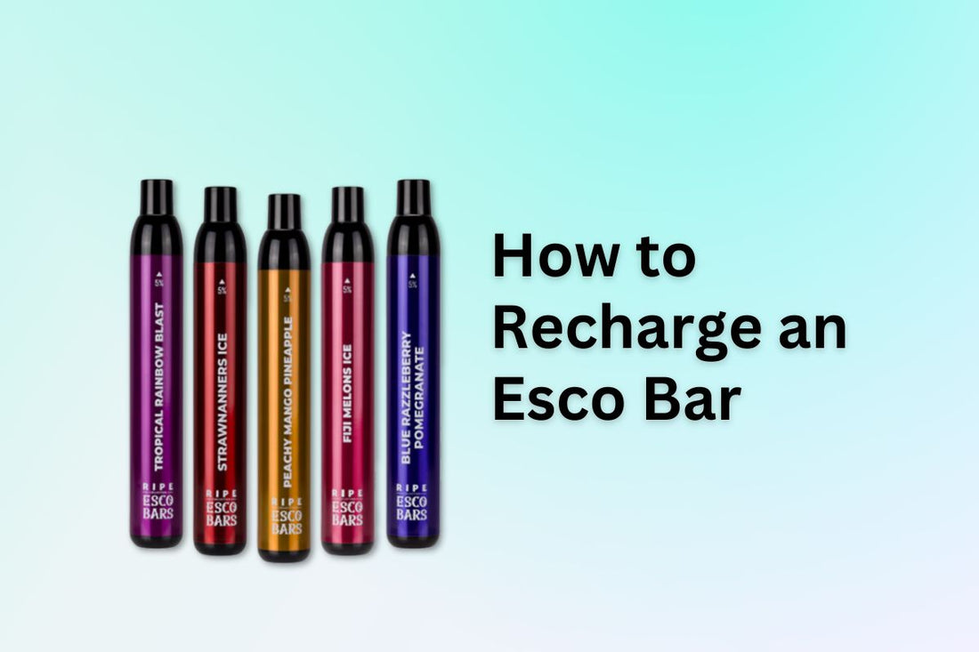 How to Recharge an Esco Bar? - 4 Steps to Do It in Right Way VapeDeal.com How to Recharge an Esco Bar? - 4 Steps to Do It in Right Way VapeDeal.com
