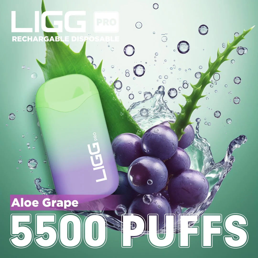 Ligg Pro 5500 Puffs Disposable Vape - Aloe Grape