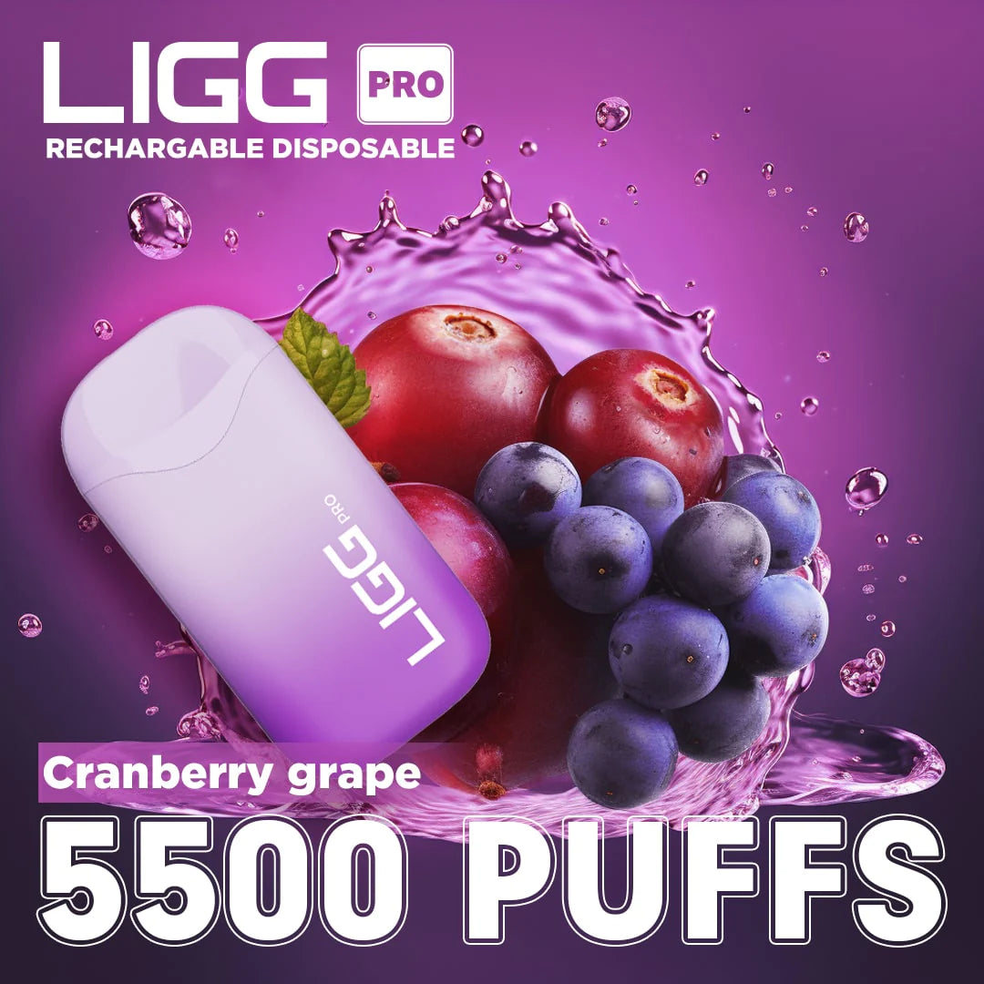 Ligg Pro 5500 Puffs Disposable Vape - Cranberry Grape