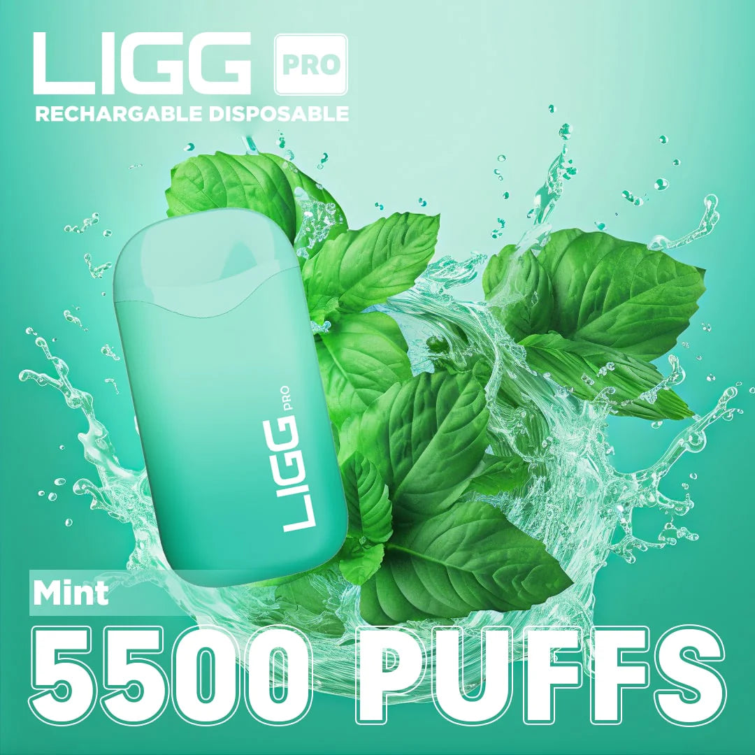 Ligg Pro 5500 Puffs Disposable Vape - Mint