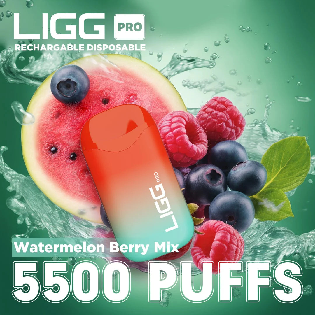 Ligg Pro 5500 Puffs Disposable Vape - Watermelon Berry Mix