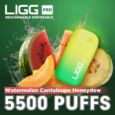 Ligg Pro 5500 Puffs Disposable Vape - Watermelon Cantaloupe Honeydew