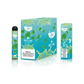 Loy XL Disposable 1500 Puffs - Mighty Mint